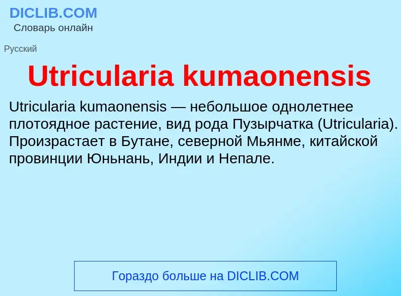 Che cos'è Utricularia kumaonensis - definizione