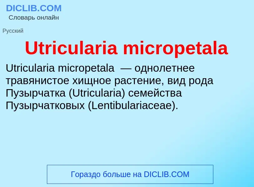 What is Utricularia micropetala - definition