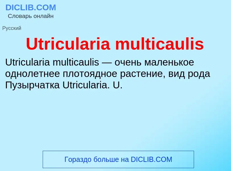 ¿Qué es Utricularia multicaulis? - significado y definición