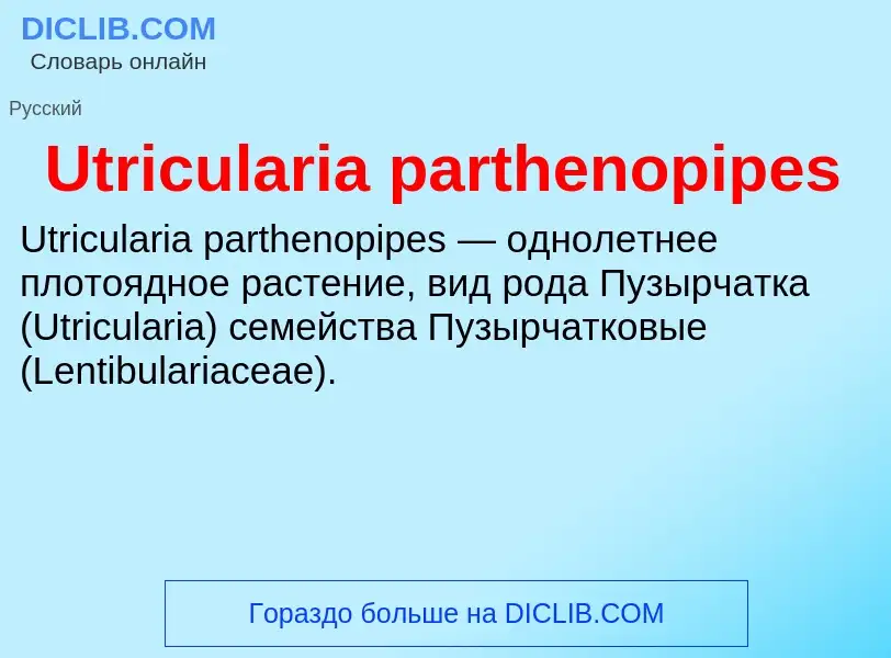 ¿Qué es Utricularia parthenopipes? - significado y definición