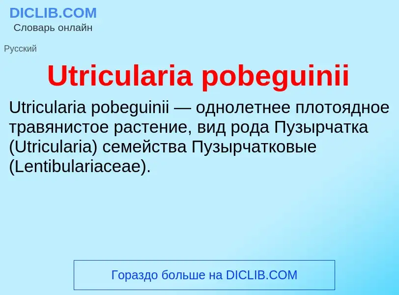 Что такое Utricularia pobeguinii - определение