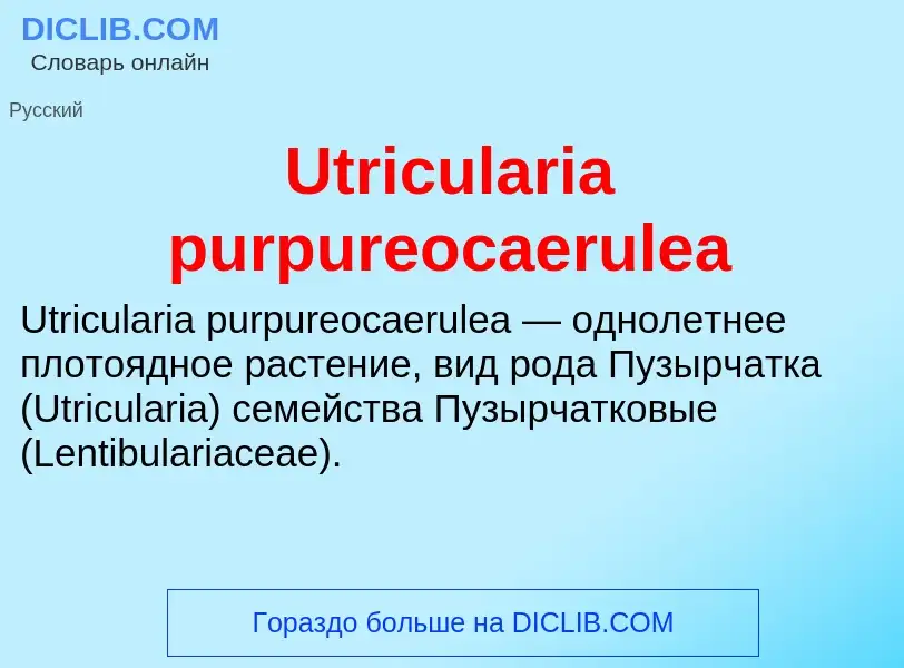 What is Utricularia purpureocaerulea - definition