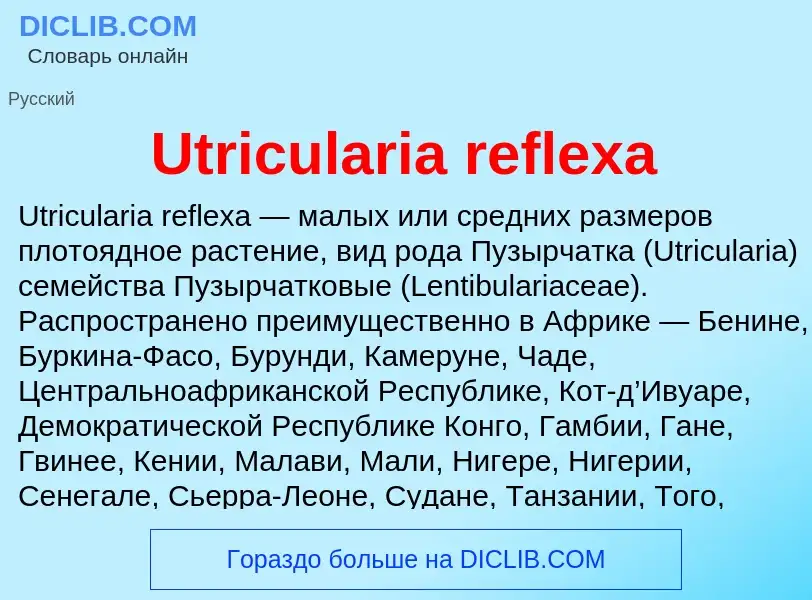 What is Utricularia reflexa - definition