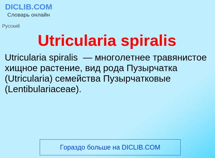 Что такое Utricularia spiralis - определение