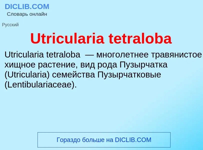 ¿Qué es Utricularia tetraloba? - significado y definición