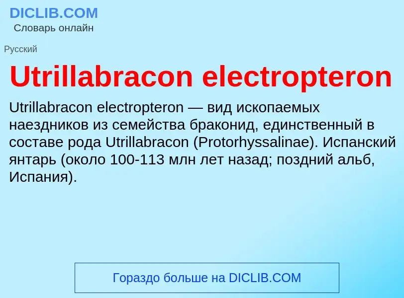 What is Utrillabracon electropteron - definition