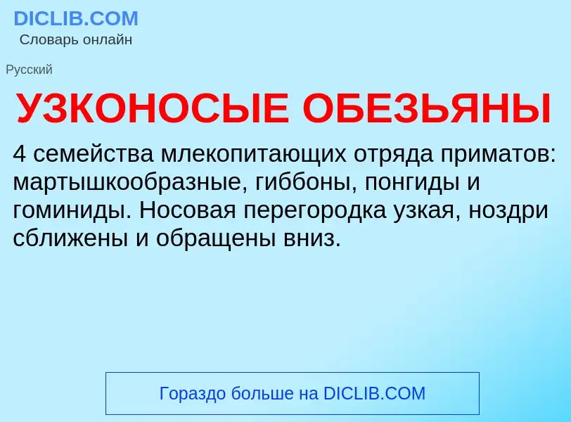 Τι είναι УЗКОНОСЫЕ ОБЕЗЬЯНЫ - ορισμός