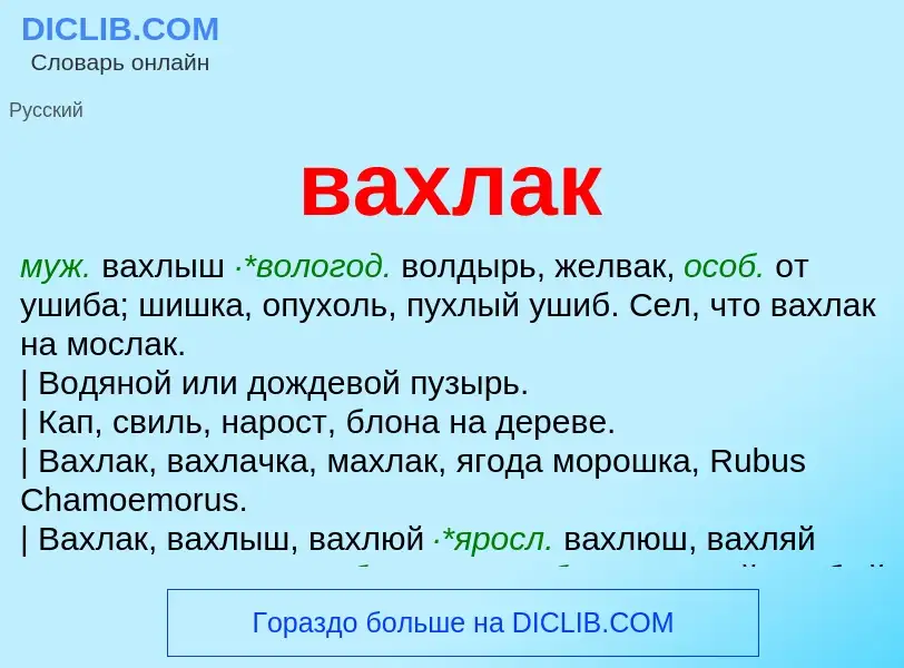 Wat is вахлак - definition