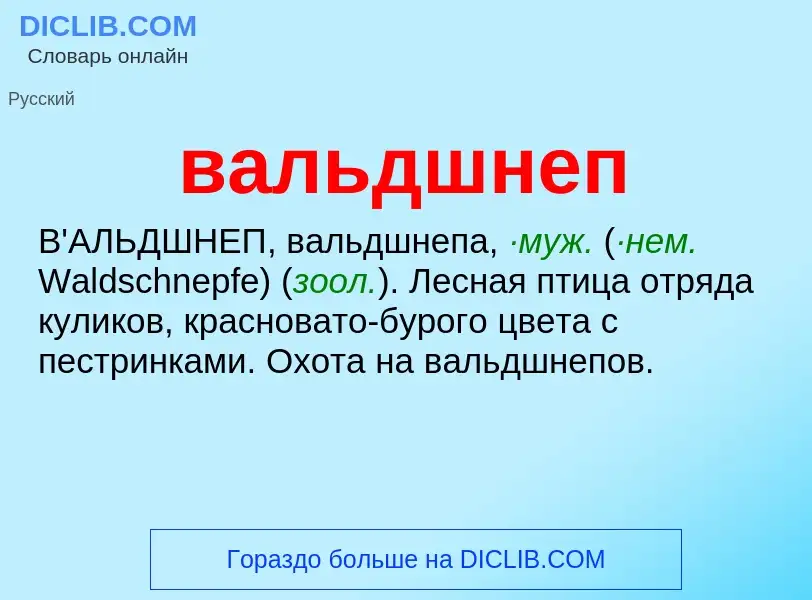 ¿Qué es вальдшнеп? - significado y definición