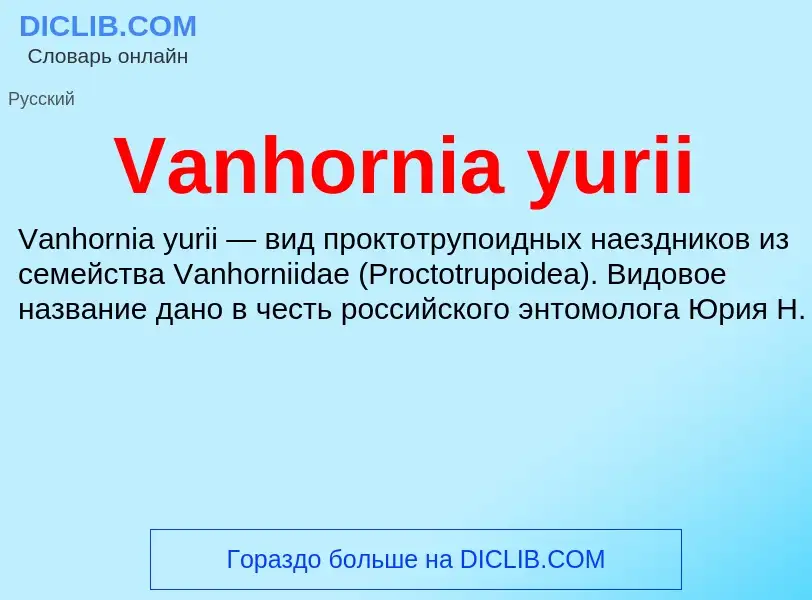 Τι είναι Vanhornia yurii - ορισμός