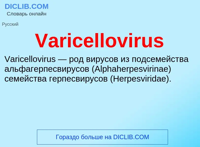 Что такое Varicellovirus - определение