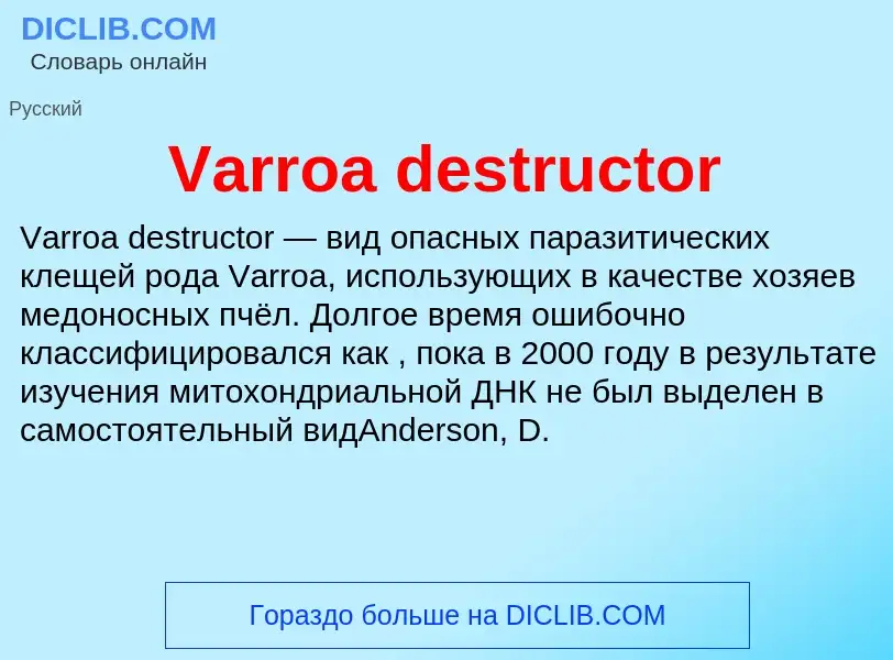 Τι είναι Varroa destructor - ορισμός