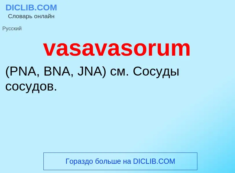 Che cos'è vasavasorum  - definizione