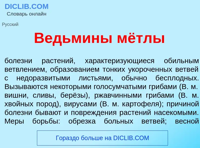 Что такое В<font color="red">е</font>дьмины мётлы - определение