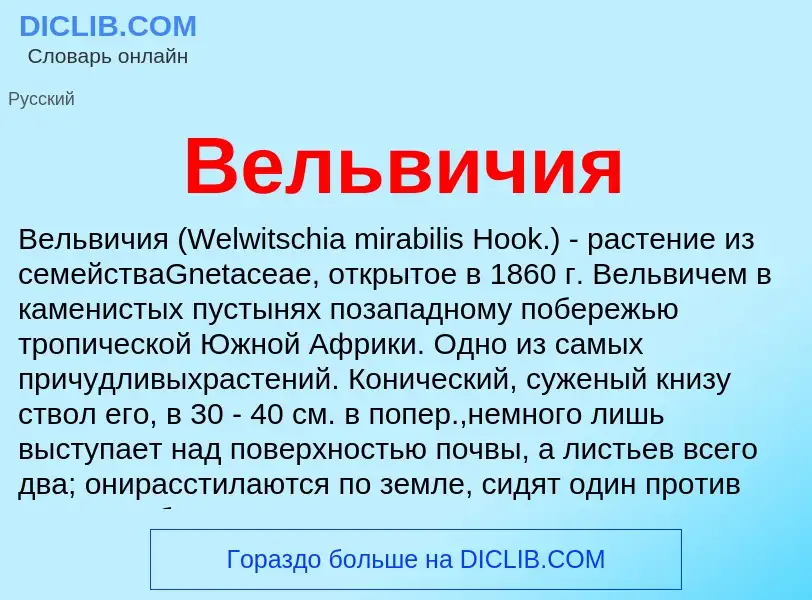 What is Вельвичия - definition