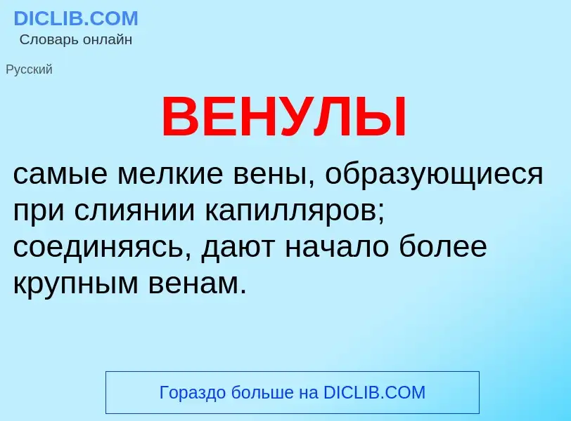 Wat is ВЕНУЛЫ - definition