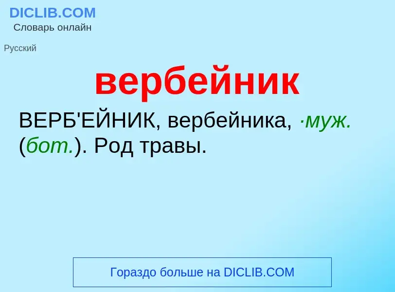 Was ist вербейник - Definition