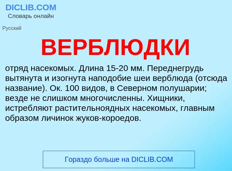 What is ВЕРБЛЮДКИ - definition