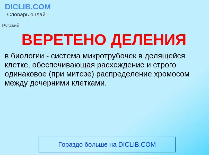 Wat is ВЕРЕТЕНО ДЕЛЕНИЯ - definition