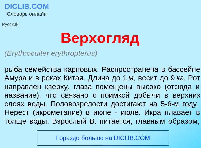 O que é Верхогл<font color="red">я</font>д - definição, significado, conceito