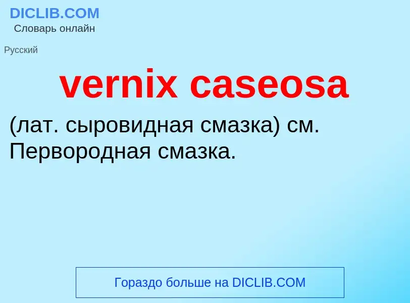 Что такое vernix caseosa  - определение