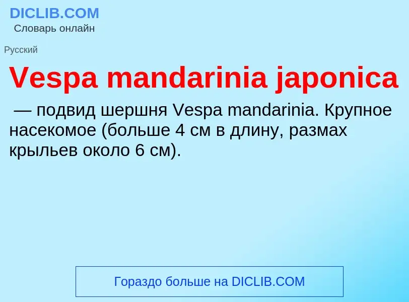 Что такое Vespa mandarinia japonica - определение