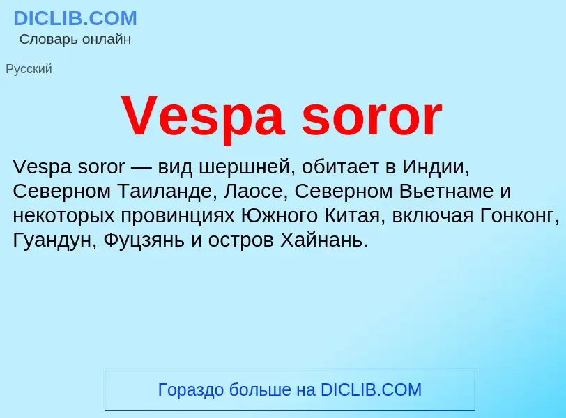 Что такое Vespa soror - определение