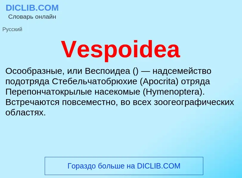 Что такое Vespoidea - определение