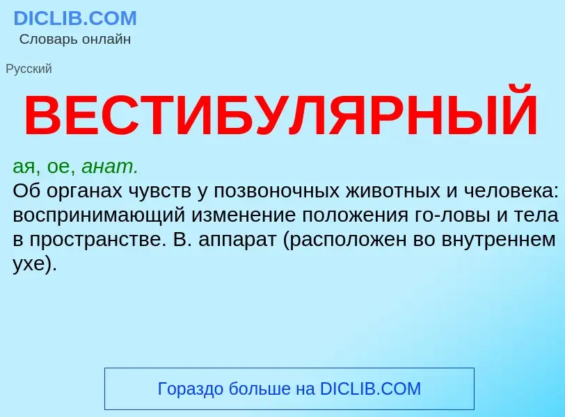 Wat is ВЕСТИБУЛЯРНЫЙ - definition