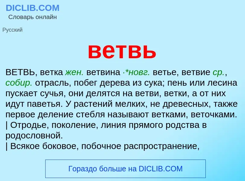 Что такое ветвь - определение