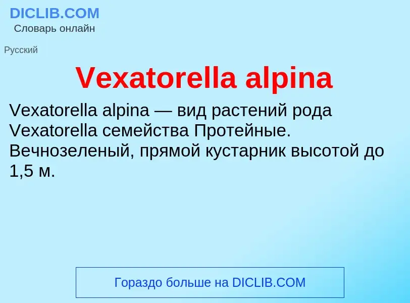 Что такое Vexatorella alpina - определение