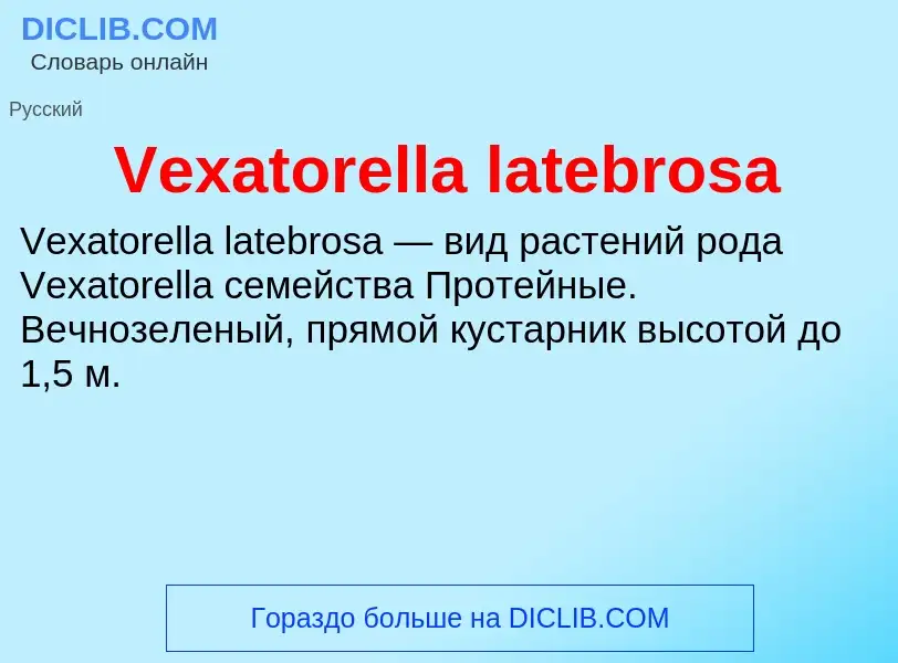 Что такое Vexatorella latebrosa - определение