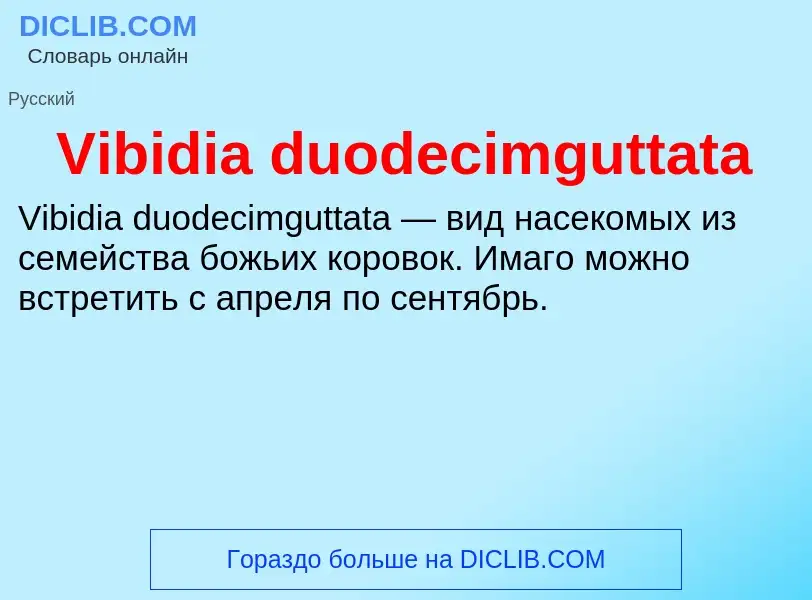 Che cos'è Vibidia duodecimguttata - definizione