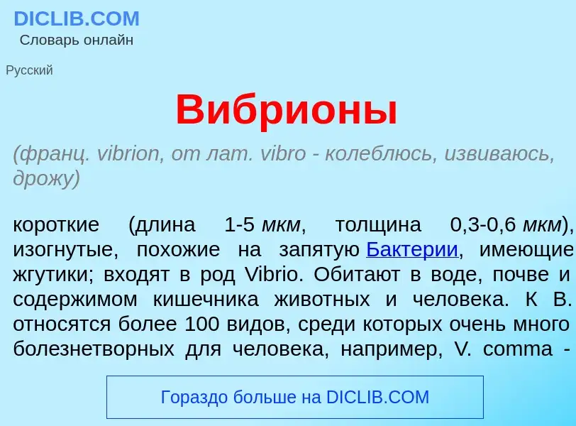 Что такое Вибри<font color="red">о</font>ны - определение