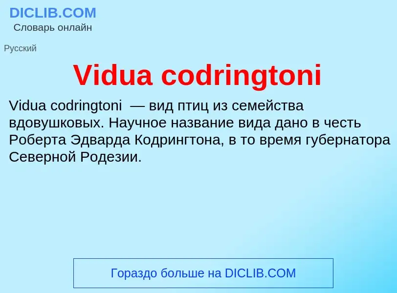 Τι είναι Vidua codringtoni - ορισμός