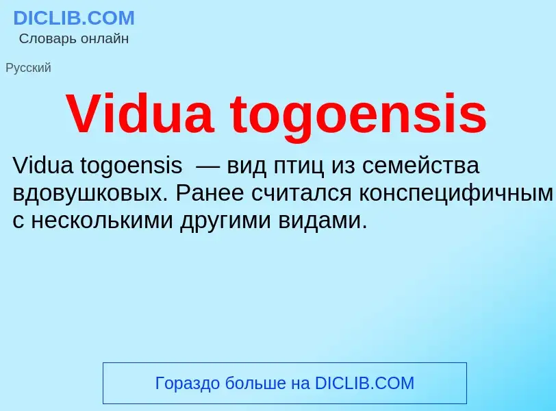 Τι είναι Vidua togoensis - ορισμός