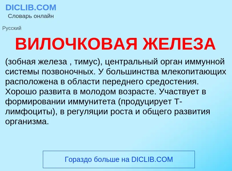 ¿Qué es ВИЛОЧКОВАЯ ЖЕЛЕЗА? - significado y definición