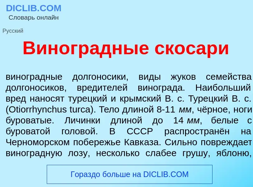 What is Виногр<font color="red">а</font>дные скосар<font color="red">и</font> - meaning and definiti