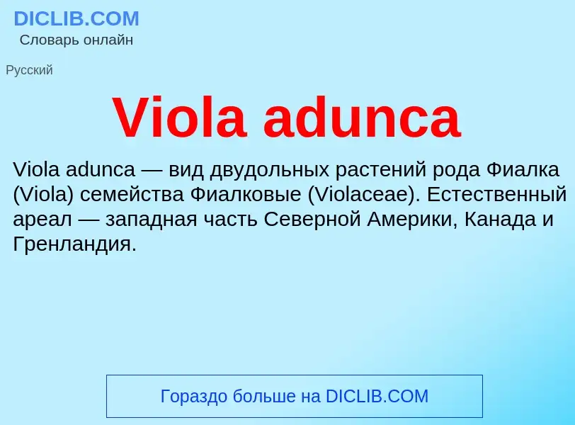 Τι είναι Viola adunca - ορισμός