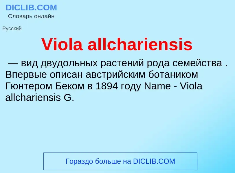 Что такое Viola allchariensis - определение