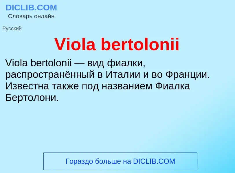 Τι είναι Viola bertolonii - ορισμός