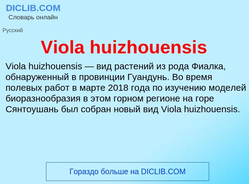 Τι είναι Viola huizhouensis - ορισμός