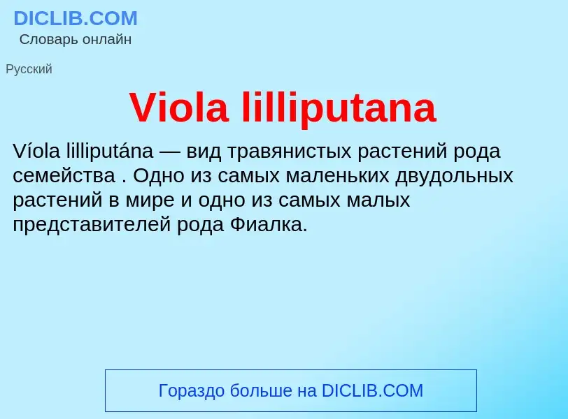 Что такое Viola lilliputana - определение