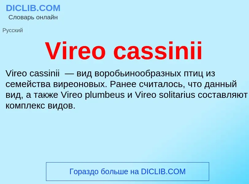 Что такое Vireo cassinii - определение