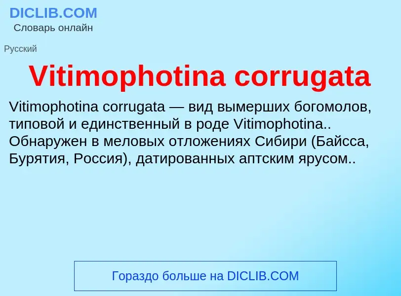 What is Vitimophotina corrugata - definition