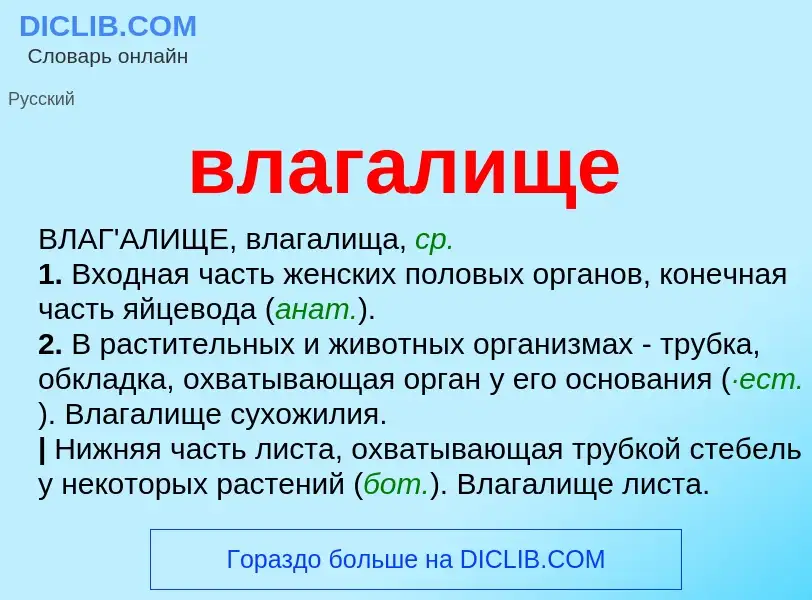 ¿Qué es влагалище? - significado y definición