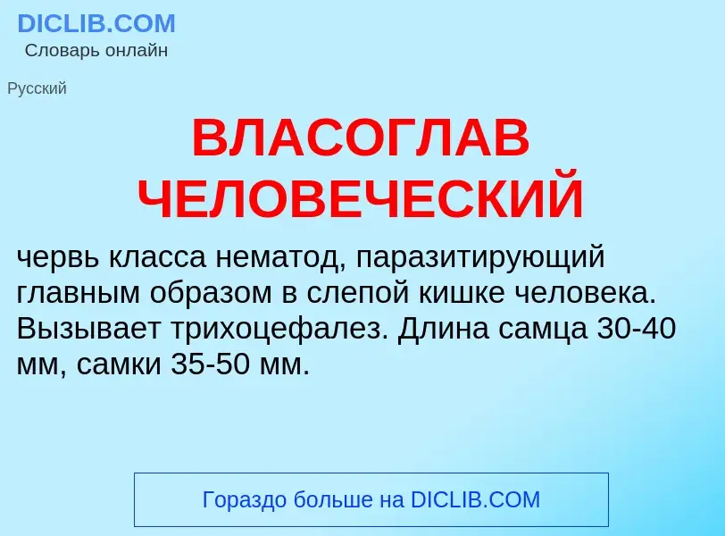 Wat is ВЛАСОГЛАВ ЧЕЛОВЕЧЕСКИЙ - definition