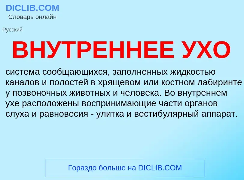 What is ВНУТРЕННЕЕ УХО - definition