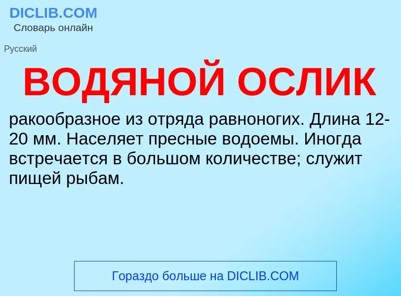 Что такое ВОДЯНОЙ ОСЛИК - определение