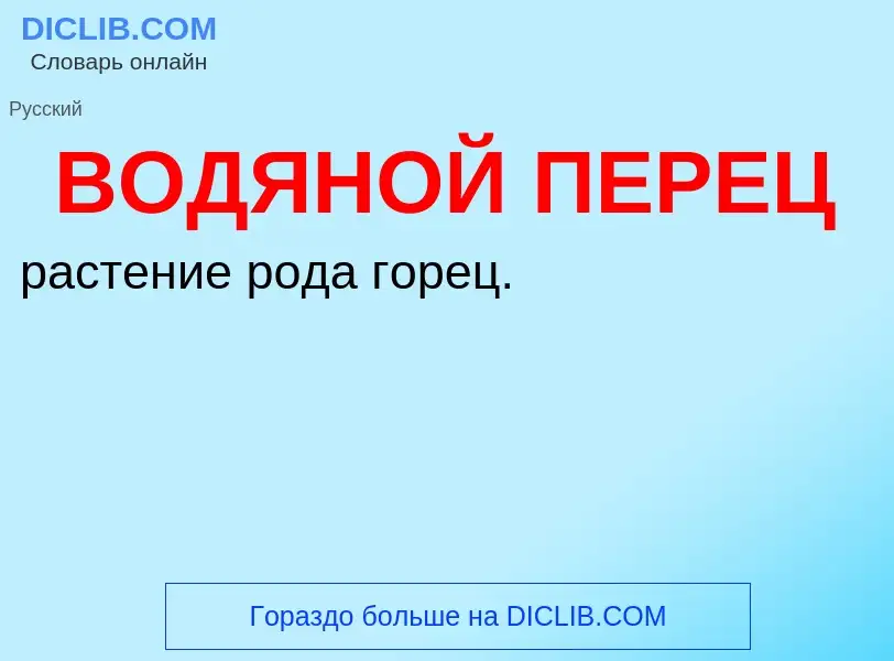 ¿Qué es ВОДЯНОЙ ПЕРЕЦ? - significado y definición